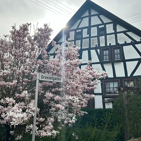 Pautzen Haus * Daun