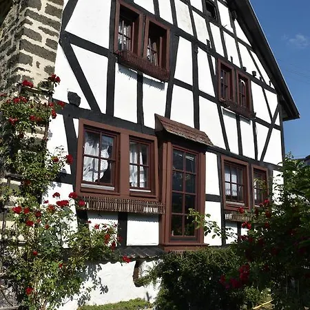 Pautzen Haus 道恩